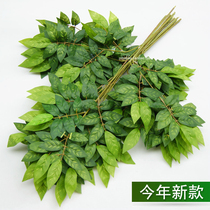 Simulation of birch leaves false leaves decorative branches indoor plants leaves plastic green plants green leaves engineering landscaping Green