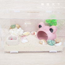 (Frog Prince)Hermit crab live full set Land fresh water pet tank package package Live free shipping