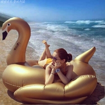 Water adult inflatable swan swimming ring 190CM GOLD white black POINTED-billed swan mount floating row floating bed