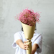 (Mountain tree) natural Yunnan starry dried flower bouquet Immortal air-dried real flower living room decoration diy flower arrangement