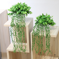wo emulation chandelier Vine Green Loo Vine Money Vines With Flower Pots Bookshelves Shelve Wine Cabinet Fresh Green Plant Decorations