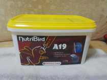 Belgian Versell parrot baby high fat milk powder A19 parrot BB baby milk powder 3kg whole barrel