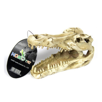 Acrylic reptile box evasion landscape Spider Gecko gecko lizard toy dinosaur skull escape hole jewelry