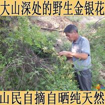 Honeysuckle wild honeysuckle tea New mountain deep wild honeysuckle bath baby bulk clear fire 100g