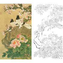 Meticulous painting drawing drawing material outline Yujigao pigeon 66*117 with color picture 513T