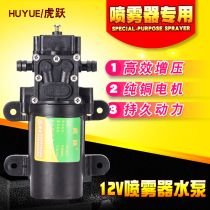 12v DC booster pump diaphragm self-priming pump agricultural tiger jump HY-521 electric sprayer Motor high pressure water pump