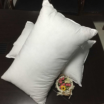ROZENE foreign trade export bedding velvet memory pillow core cotton anti-feather cloth student cervical pillow core