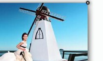 Spring Festival Gardening Exhibition Theme Flower Show Layout Flower Sea Outdoor ornaments Large Dutch Windmill House Landscape Skit