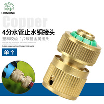 lionking 1 2 All Copper Quick Joint 4 points Copper Water Stop Joint Water Pipe Joint Water Pipe Joint Car Washing Water Gun Joint