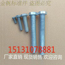 Direct selling hot-dip galvanized Bolt M12 hot-dip zinc Bolt screw hot-dip galvanized Tower Bolt full series
