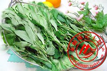 Fresh bitter vegetables bitter armor wild vegetables bitter vegetables bitter food Taishun Chen Jis local specialty a store is now selling 250g