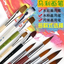 Marley oil brush set nylon silk mixed horse brush for watercolor acrylic gouache paint painting brush