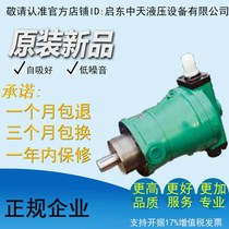 Factory direct high quality and high efficiency low noise 25MYCY 25MYCY14-1B high pressure variable axial piston pump