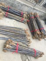 Zizhu belt and Xiao material