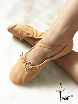 Chen Ting cat claw shoes belly dance ballet dance shoes practice soft shoes double canvas face professional leather head