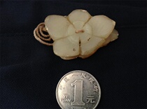 Ming and Qing Dynasties old Jade multi-layer flower big hat is opening the door old Jade year there are old objects antique Miscellaneous Fidelity