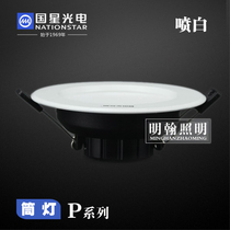 Guoxing Optoelectronics ┃LED Downlight P Series - New] White Spray P3 P4 P6 P8 P10 P12