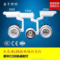 Hot-selling 20W30W plant wall LED growth light Full spectrum rail type indoor green plant wall decoration fill light spotlight