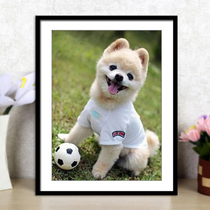 New 5d Diamond painting cute football puppy bedroom full of diamond embroidery small living room point diamond cross stitch dog simple