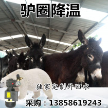 Donkey mules centre breeding shed coolers Fog Deodorants Spray Drugs Hormone Spray equipment Commercial agricultural machines