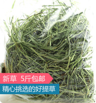 Buy 3 sent for 1 20 years New grass special class TiMoses grass Tigris grass Rabbit rabbit dragon cat 500g Very green
