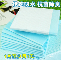 Dog Nappies Pet Nappies Dog Nappies Teddy Dog Nappies Deodorant Nappies 100 Tablets