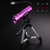 Zoom charging with stand bait Light Night Fishing light blue violet light three light source fishing light