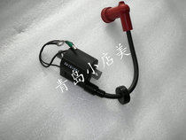 Yamaha 40 Boat Outboard Motor Outboard Motor Ignition Coil CDI Ignitor High Pressure Pack