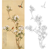 Meticulous painting white drawing draft Yu Zhizhen Rhododendron with Hua Feng original large physical print 41*89 with color picture 134t