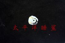 For Nikon D80 Mode Dial Brush Brand New Original