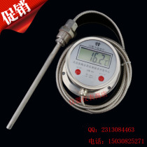Stainless steel thermometer digital display electronic digital thermometer DTM-491 pressure thermometer