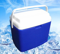 16L portable incubator refrigerator outdoor barbecue travel with handles breast milk insurance refrigerated EPS