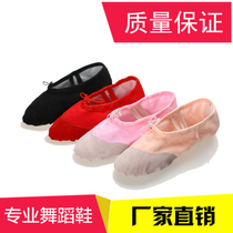 Childrens dance shoes Mens and womens childrens ballet shoes Adult soft-soled practice shoes Cat claw shoes Yoga shoes Canvas body shoes