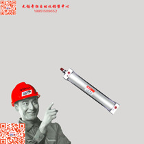 Delixi Pneumatic Components Standard cylinder SC 63X175 physical store]