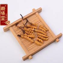 (New Years Day)Zang Xitang Cordyceps original sealed goods Naqu small broken grass boutique broken grass 1g