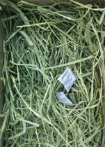 20-year-old new grass Gansu Timothy grass drying box contains grass with a gross weight of 1kg ultra-green and weed-free