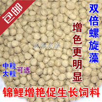 Brocade carp feed fish food brocade carp feed color Jan Spirulina goldfish feed goldfish food brocade carp food