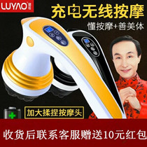 Luyao Dolphin Electric massager stick Multi-function full body vibration kneading Neck Waist shoulder Leg Hand-held
