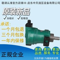 Factory direct high quality and high efficiency low noise 160YCY 160y14-1b pressure compensation Qidong plunger pump