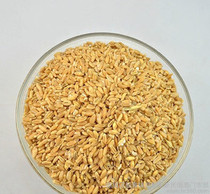 Chinese herbal medicine floating wheat 500 grams 4 yuan Another Huai wheat