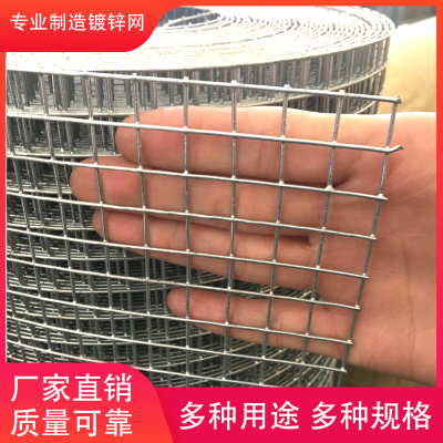 Hot-dip galvanized barbed wire mesh grid anti-rust protective fence small hole breeding net anti-rat net raising chicken duck and pigeon