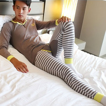 Hua Jielong mens underwear set cotton thin warm autumn clothes autumn pants sexy cotton V-neck leggings