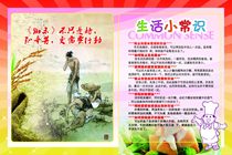 341 home poster board spray painting sticker material 1124 life tips 1