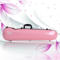 New paint professional erhu box glossy new glass fiber reinforced plastic powder erhu box