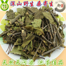 Wild mulberry parasite Guangxi Shenshan Guang parasite 500g Wuzhou Mulberry parasite tea can be used with Eucommia tea soup