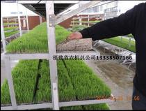 Nursery bed frame Factory nursery bed frame Greenhouse seedbed frame Mobile seedbed frame with water spray system