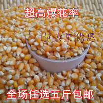 Small corn kernels 500g farmhouse self-planting fried popcorn raw material fresh popcorn new goods