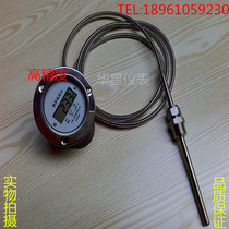  WST-391 Digital display pressure thermometer Digital thermometer Diameter 60mm with edge All stainless steel