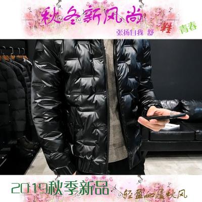 Mens Down Jacket Short Stand Collar Slim Slim Bright White Duck Down Lightweight Warm Jacket Mens 2019 New