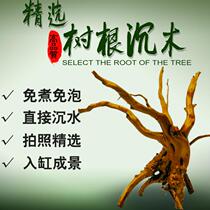Rhododendron root sinking wood tree root habitat root cooked natural fish tank grass Water tank Decorative landscaping sinking wood small turtle drying table